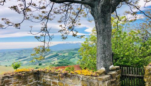 Mini Casale Rustico ColleBello - Foto 2