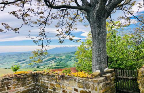 Mini Casale Rustico ColleBello - Foto 2