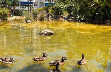 Costalago Beach - Foto 21