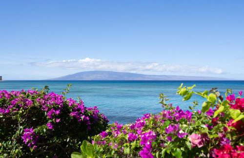 Kuleana 613 1 Bdrm 1 Bedroom Condo by RedAwning - Foto 82