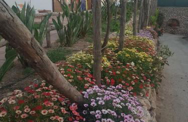 Agriturismo del Sole - Foto 88