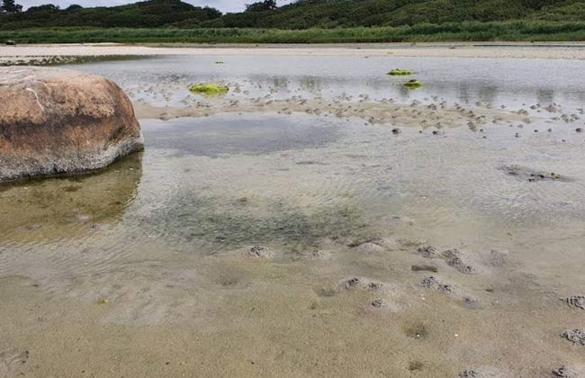 4 Person Holiday Home in Jaegerspris - Foto 29