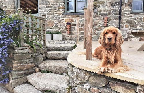 5 Bed in Truro oc-tc82928 - Foto 24