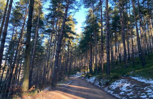 A l'Oree du Bois - Foto 21