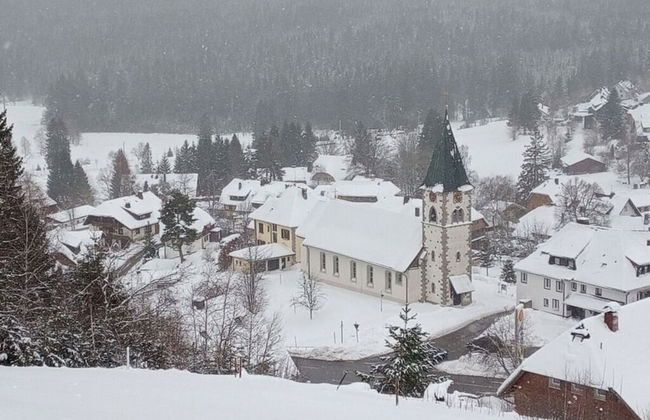 Pine Cones in the Haslehaus - Foto 35