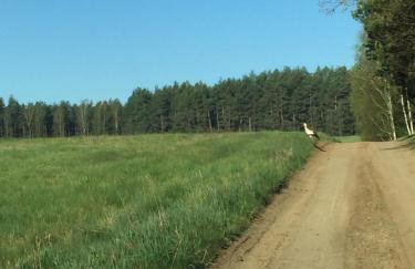 Domek Leśne Zacisze - Foto 24