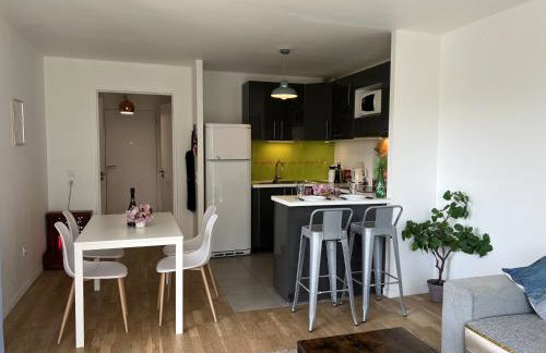 Lumière Parisienne Spacious 2BR Apartment with Terrace Free Parking Near Metro Line 13 - Foto 15