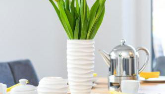 Ferienwohnungen im Haus Deichnest - Foto 3