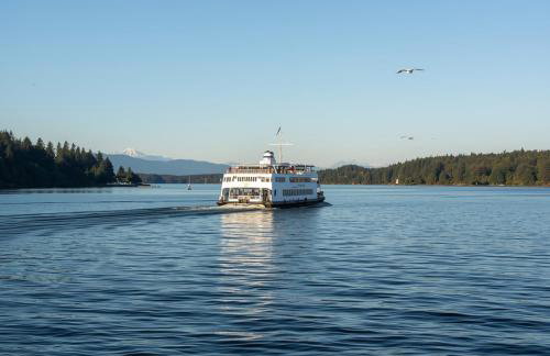 Bright 3 bedroom home with full kitchen, fenced backyard, sports court and free parking - Foto 30