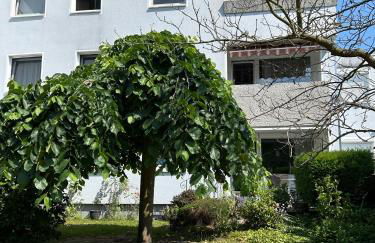 Wohnen am Schloss - Foto 23