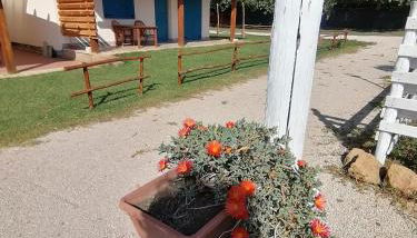 agriturismo oca giuliva - Foto 2