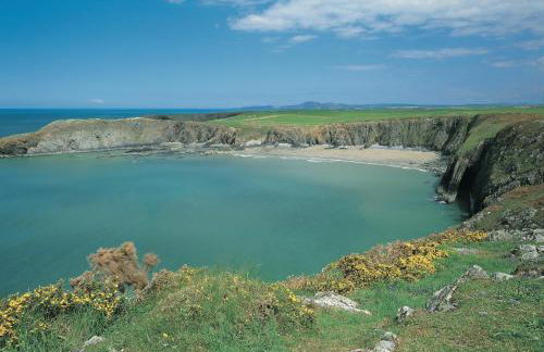 Sea View Lodge Porthgain - Foto 18