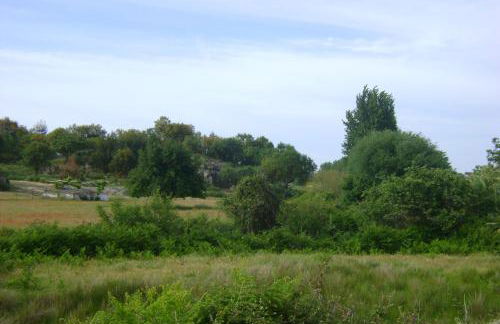 Tapada da Beirã - Foto 34