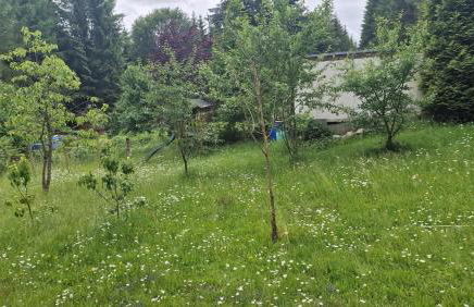 Altes Zollhaus im Wald - Foto 37