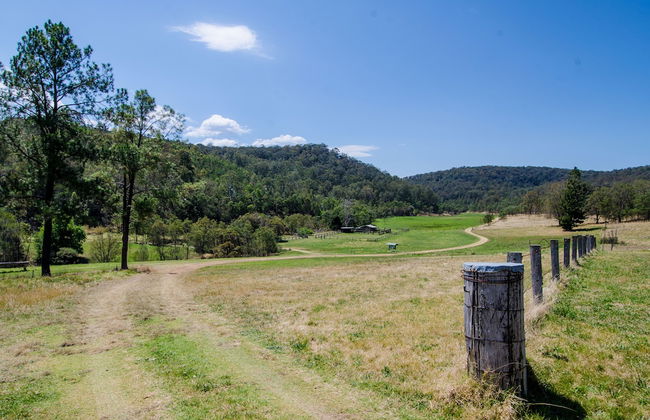 Big Yango House - Foto 14