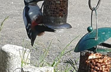 The Old Mill Cottage - Foto 80