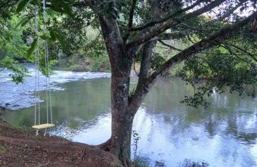 Sítio em área rural, ao pé da Serra Gaúcha. - Foto 23