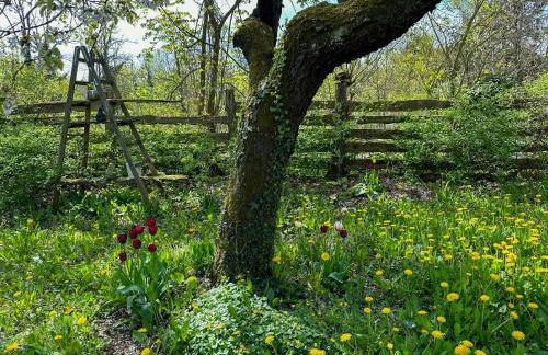 Charming Villa With A View Of Schermützelsee - Foto 7
