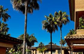 Altamar Beach - Foto 15