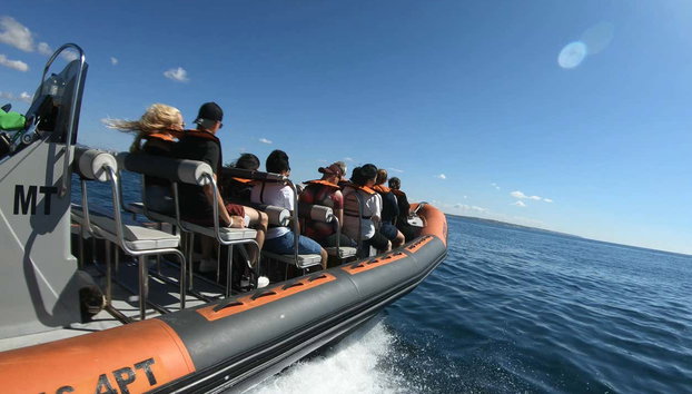 Balade en bateau en Algarve et aux grottes de Benagil - Photo 3, Un groupe de personnes en route pour les grottes de Benagil