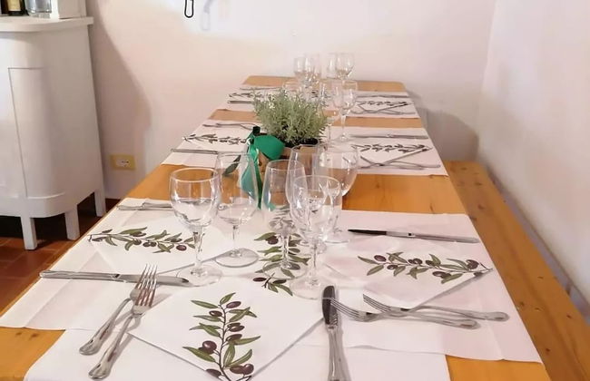 Fattoria di Cintoia - Photo 57