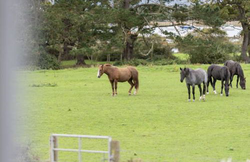 Little Exbury - Foto 36