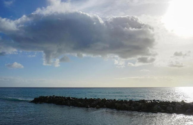 Flat in Caprioli di Pisciotta With sea View - Foto 30