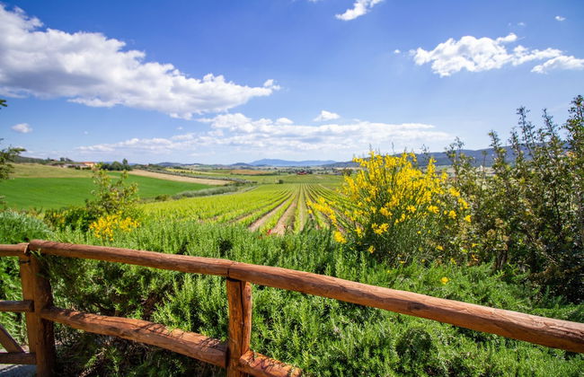 Agriturismo Torribasse - Foto 29