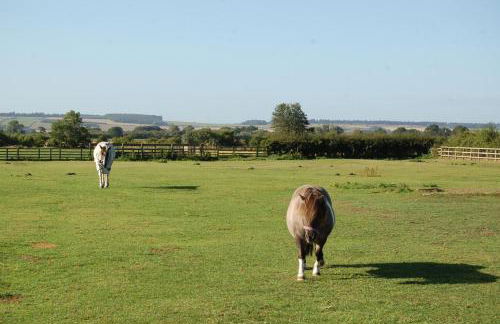 THE OLD Cart House - Foto 54
