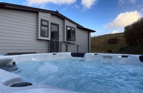 Cosy Clos Y Hendy Lodge - Foto 1