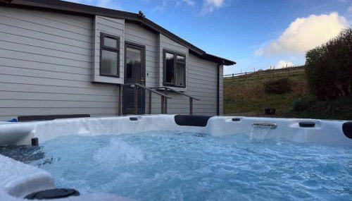 Cosy Clos Y Hendy Lodge - Foto 1