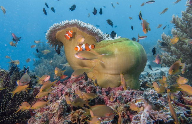 Alaia Studios - Foto 33