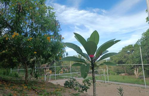 Pousada Chácara Pau - Brasil - Foto 16