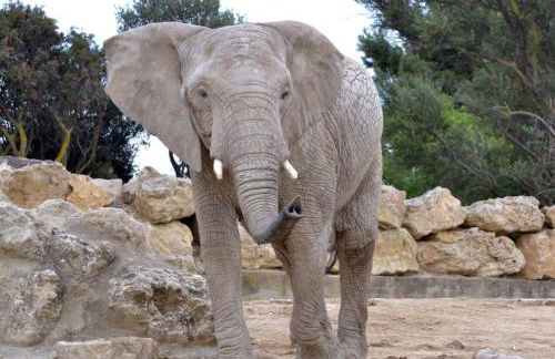 Maison tout confort belle terrasse sud - Foto 17