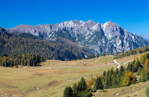 Apartments Stoll - Photo 34