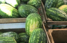 Mare Nostrum TF - Foto 44