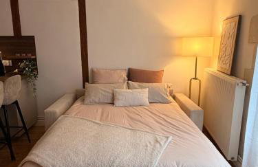 Appartement Jazz - Hyper Centre Vienne - Garage - Foto 8