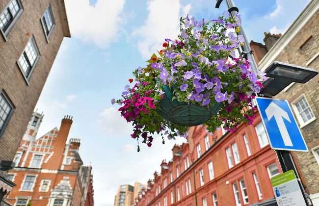 Bond Street Apartments - Photo 31