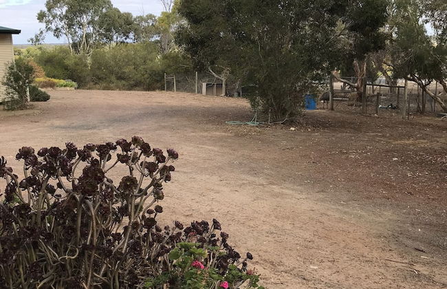 Padthaway Caravan Park - Foto 56