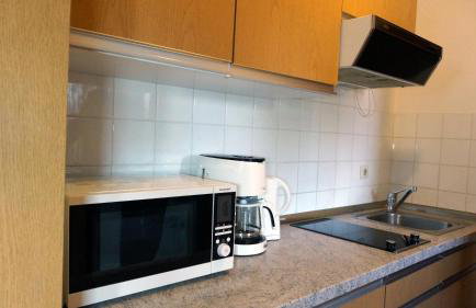 Sonnleiten-Rupert - Foto 17