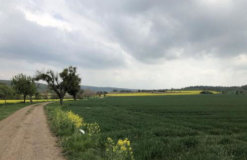 Old Winemaker's House Müntnich - Foto 34