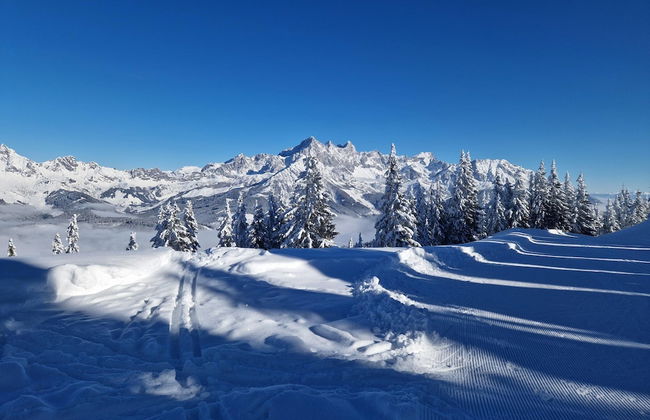 Apartment in Filzmoos Near Ski Amade - Photo 30