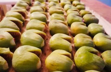 Farmers House - Foto 80