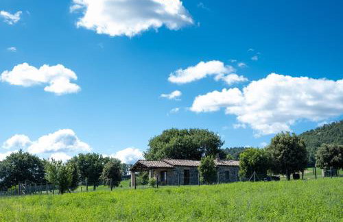 Poderaccio Agri Relais Apartments & Restaurant - Foto 49