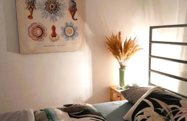 Spacious Home in Old-West - Leutsch - Foto 1