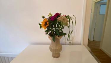 Premium Wohnung 70qm Lindenthal - Photo 3