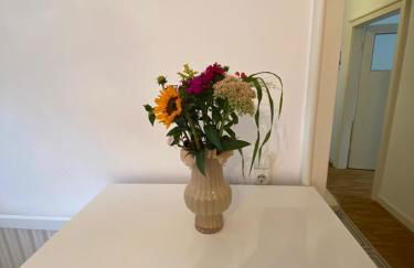 Premium Wohnung 70qm Lindenthal - Foto 3