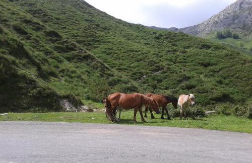 Apartamento en Llanes - Photo 49