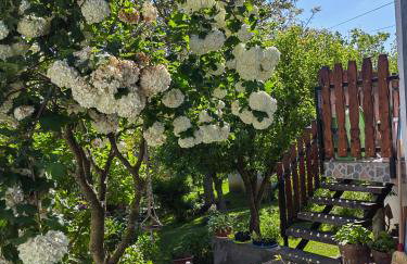 Apartman Barbara - Foto 9