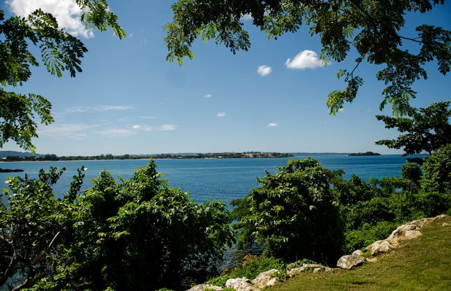 Seas the Day Sanctuary Little Bay - Photo 27